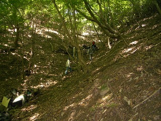 全長80mの引上げ