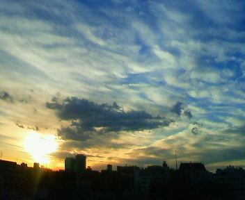 200811191559000.jpg
