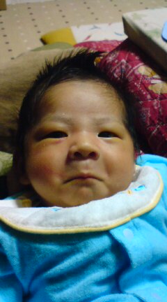20090306174454.jpg