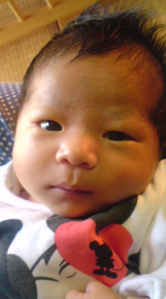 20090305125406.jpg