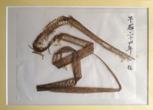蛇の抜け殻で開運文字 金運開運 幸せへのブログ