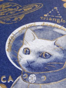 Space Cat MICA