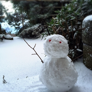 iPhoneImage.png