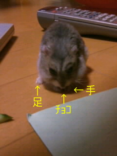 091003_2144~01001.JPG