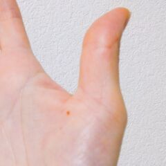 20180901_1116540.jpg