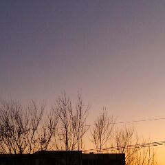 20181231_1277784.jpg