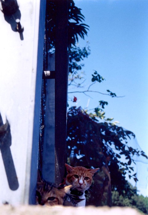 ��äѤ�ǭ������