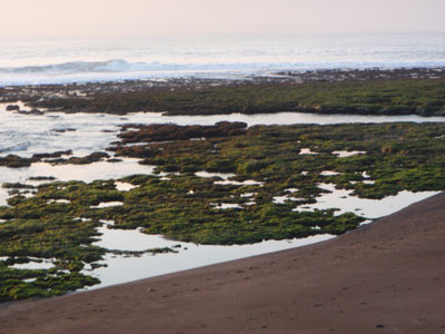 海