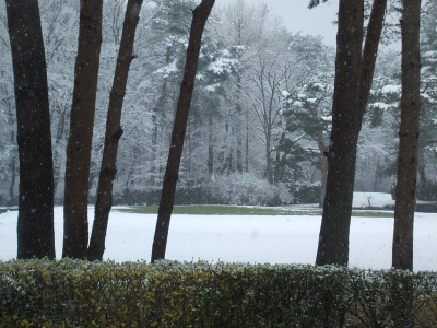 4月の雪