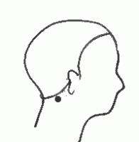風池