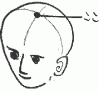 百会