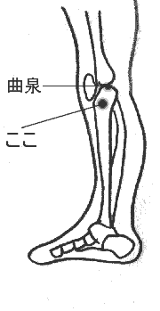 膝関