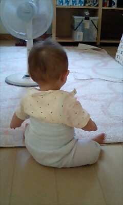 ねじりにじり