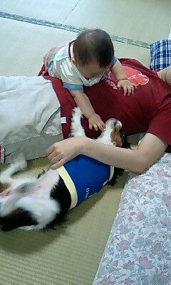 とーちゃんの取り合い
