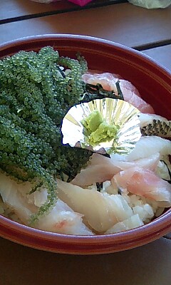 あやはし丼
