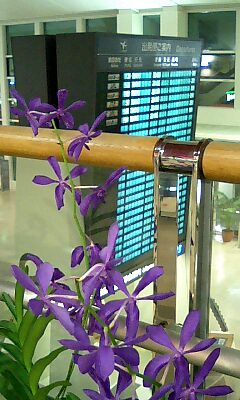 那覇空港にて