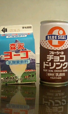ヨーゴにチョコドリ