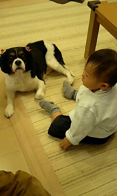 あみさんとチビりん