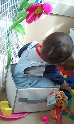 おもちゃ箱にはいりまーす。