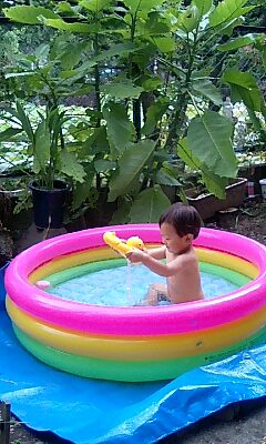泣きながらプール