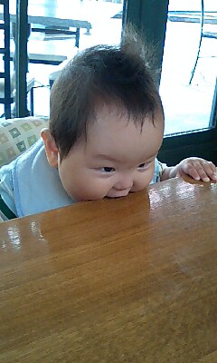 テーブルにかぶりつき