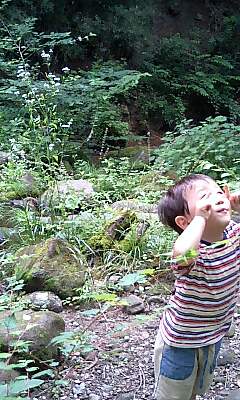 川も流れてます