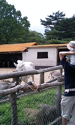 南が丘牧場