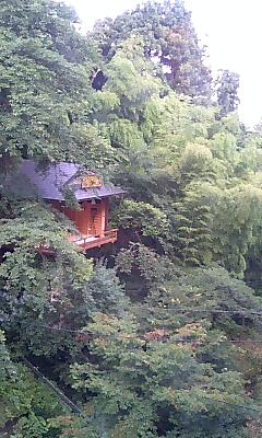 舞台が見えます