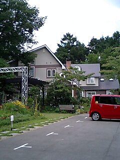 森のバスケット