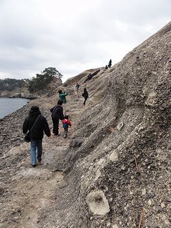 堂ヶ島上陸