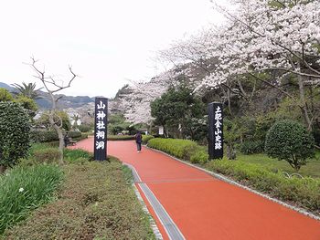 土肥金山