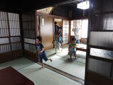 やっぱり走り回ります