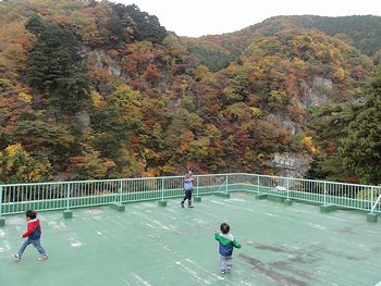 紅葉をみなければねっ