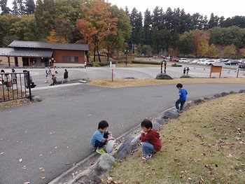 みんなで枯葉拾い
