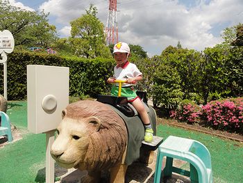 リアルなライオン