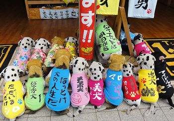 国際通りで見つけたよ