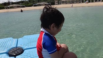 また島においた