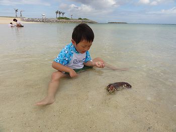 ナマコちゃん