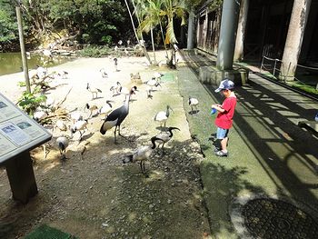 フレンドリーすぎる鳥たち