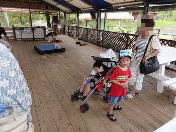 プクりんはがっつりお昼寝