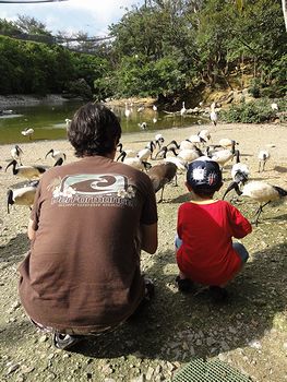お気に入りの写真。いいね、親子