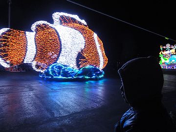 でてこいディズニー!!!