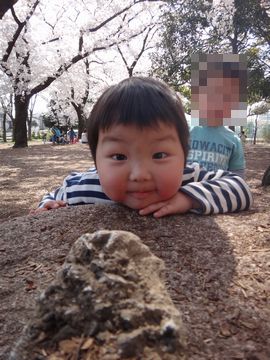 お花見よりも遊びです
