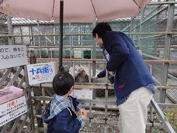 おサルにおやつをあげます