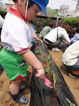 今度は上からさらさらさら〜