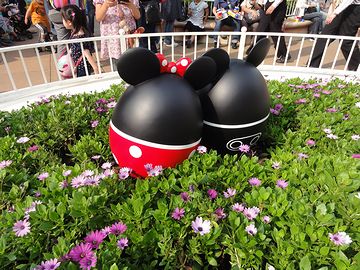 後姿がかわいい