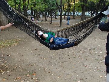 私もハンモック