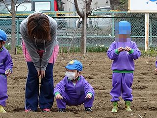 じゃがいも植え