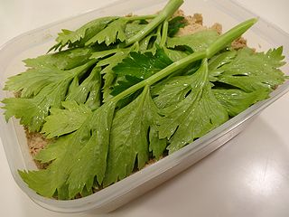 捨て野菜