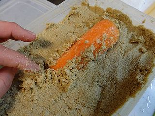 糠漬け、本格スタート